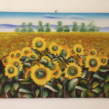 自然之彩住宿加早餐酒店